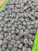 巨无霸散蓝莓半斤 商品缩略图1