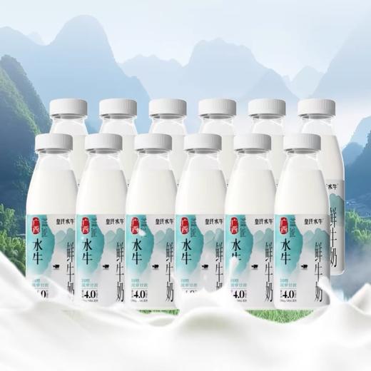 【顺丰包邮】皇氏乳业水牛4.0鲜牛奶260mL*12瓶 商品图4