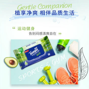 得宝芦荟湿厕纸 40片*10包 植萃精华 可冲散 湿纸巾 私处厕纸 /家庭清洁/纸品 /清洁纸品 /抽纸 商品图1