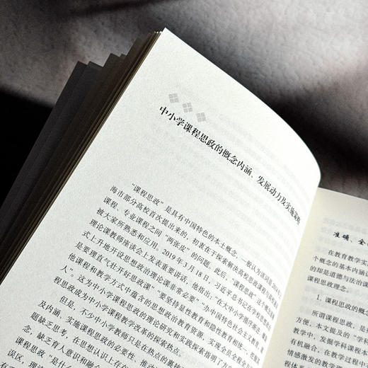 素养时代的教师深度修炼 大夏书系 教师专业发展 汪瑞林 商品图8