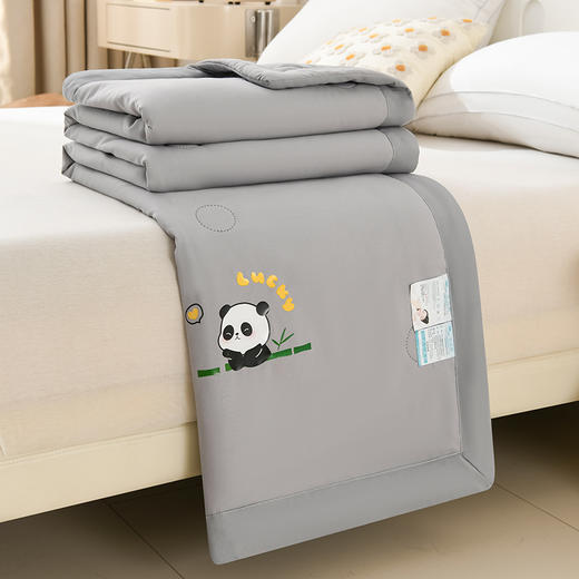 A类水洗棉夏被夏凉被空调被 商品图4