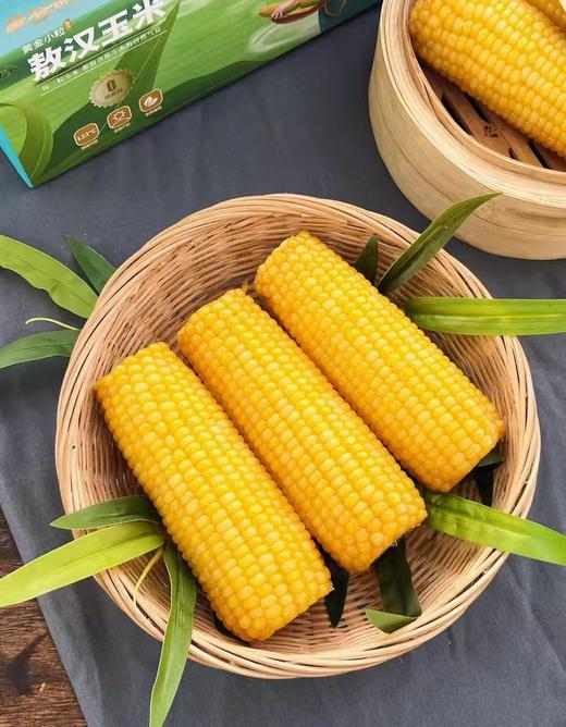 【蒙谷阳光甜糯敖汉玉米】源自内蒙古赤峰市敖汉旗，北纬42°黄金种植玉米带 商品图1