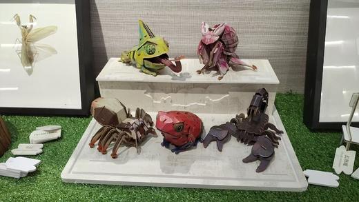 【代发】梦巴格儿童益智玩具 中国国家地理 雨林小怪集系列 商品图1