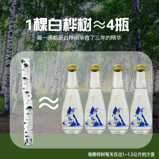 冷极白桦树汁 原汁原味 礼盒装 送货上门 甄选大兴安岭野生植物清甜 商品图2