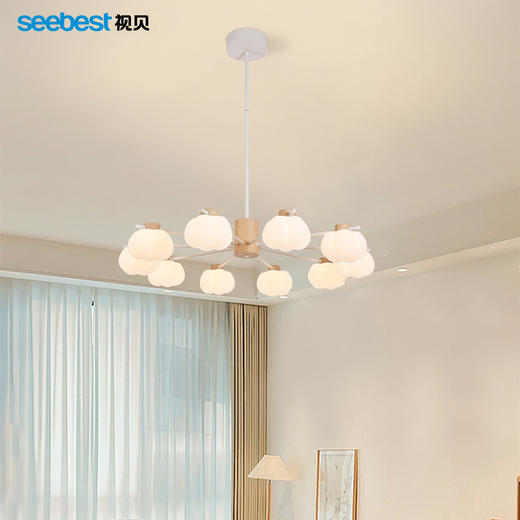 南瓜慕斯-花式吊灯 商品图0