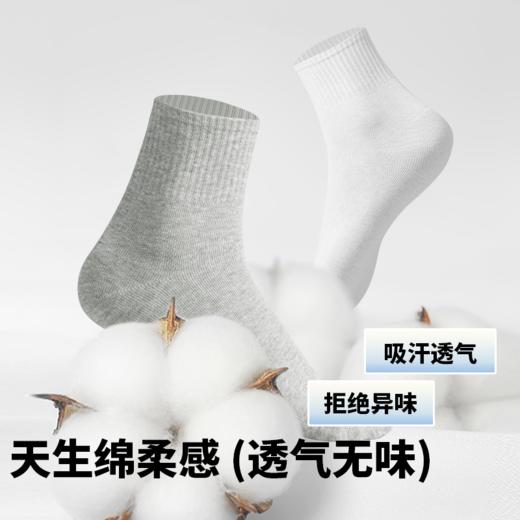 C2-【5双装】【96棉袜】润微袜子女夏季薄款棉质透气中筒袜女士月子袜短筒舒适长袜【简约袜语】 商品图2