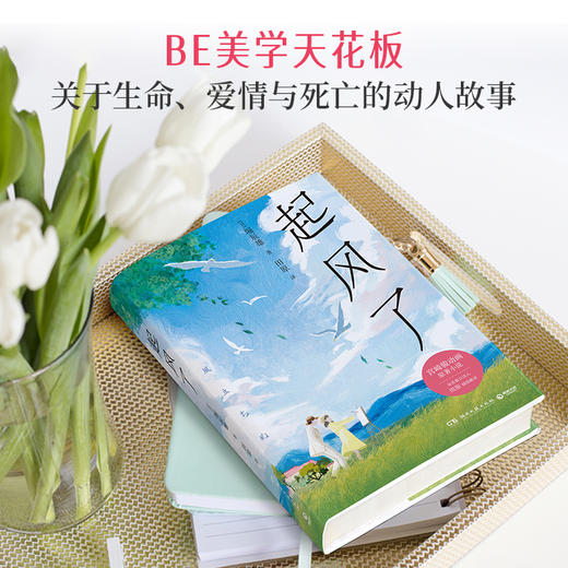 起风了 商品图1