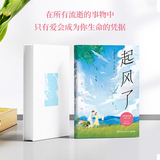 起风了 商品图2