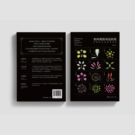 《如何观察身边的花：有趣的植物解剖图鉴》 商品图10