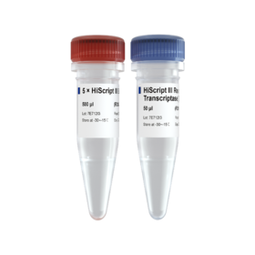 Hiscript III Reverse Transcriptase