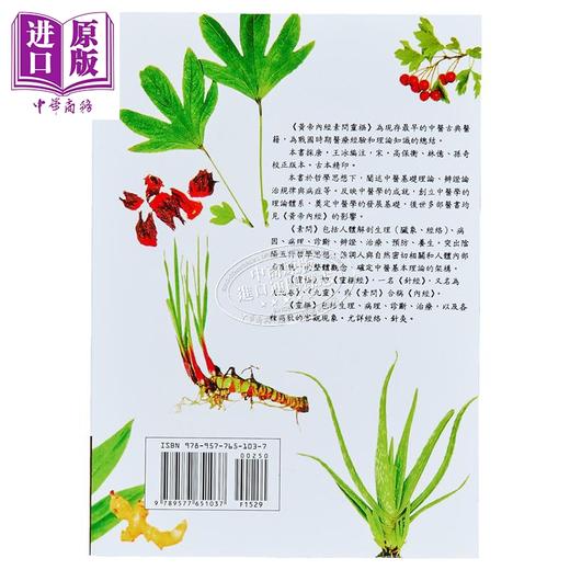 预售 【中商原版】黄帝内经 素问灵枢 港台原版 王冰 大孚书局 商品图3