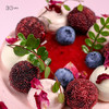 迷你多肉杨梅荔枝，可选4英寸 商品缩略图3