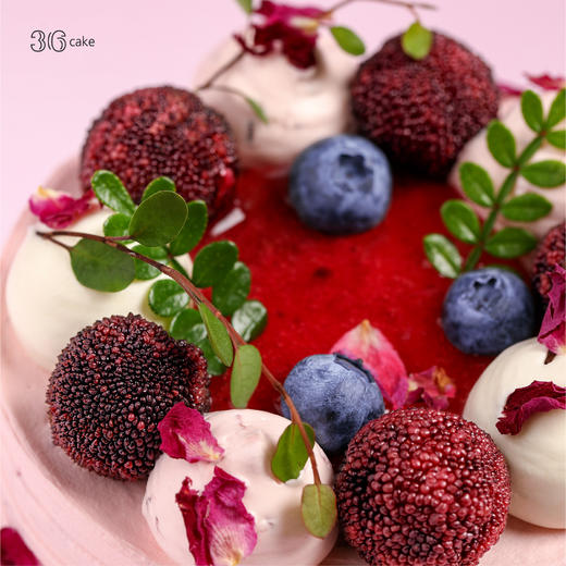 迷你多肉杨梅荔枝，可选4英寸 商品图3