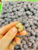 巨无霸散蓝莓半斤 商品缩略图3