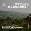 单品手冲【果丁丁日晒】2025新产季 埃塞俄比亚手冲单品咖啡豆100g 商品缩略图3