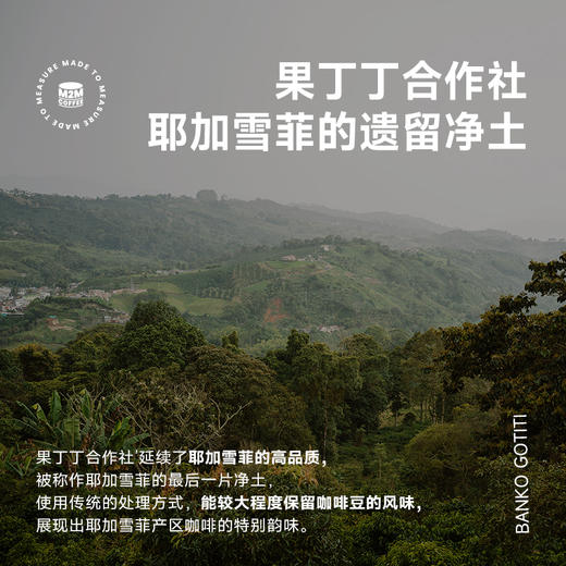 单品手冲【果丁丁日晒】2025新产季 埃塞俄比亚手冲单品咖啡豆100g 商品图3