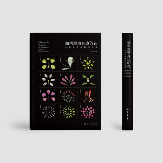 《如何观察身边的花：有趣的植物解剖图鉴》 商品图1