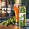 豪铂熊（BearBeer）德国精酿小麦拉格黑啤浓烈啤酒500ml*12听 春日聚会畅饮踏春送礼 商品缩略图7