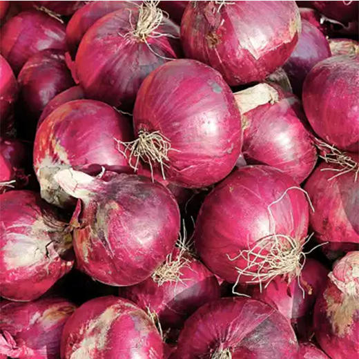 【1.8元2斤】带皮红葱头（1501531） 商品图0