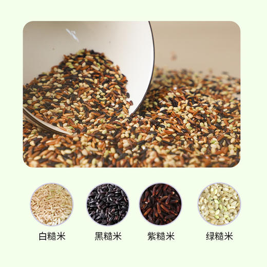 有机彩色糙米 500g/袋装【京东快递送货上门】 商品图1