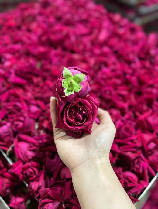 组图刘亦菲墨红玫瑰干花茶界的黄金爱马仕 商品图0