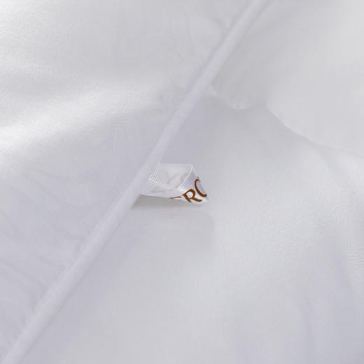 水星家纺依兰负离子抗菌被 商品图4