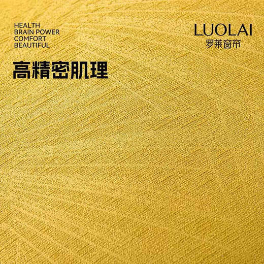 罗莱软装-流星抱枕  45*45 商品图3