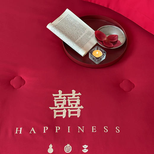 【换季出清】自然醒为爱添囍亲肤刺绣婚庆被新中式喜字结婚刺绣被芯红色春秋冬四季被芯双人床上用品TD 商品图2