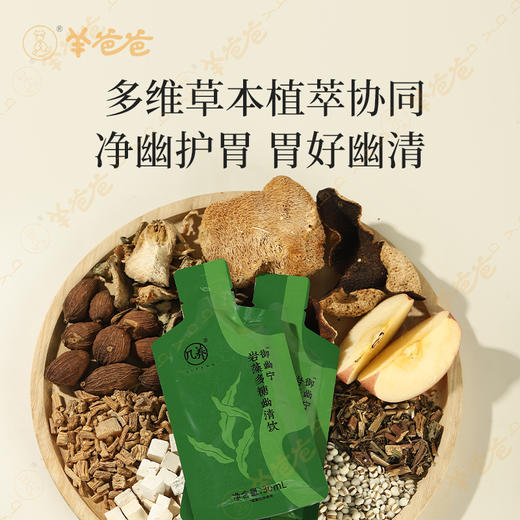 限量返【岩藻多糖幽清饮3盒】温和滋养 应对胃部不适 呼吸更清新 效期至27年5月 商品图4