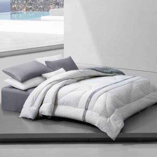 水星家纺M舒静安眠·负离子净醛·大豆抗菌冬厚被(烟岚云岫) 商品图0