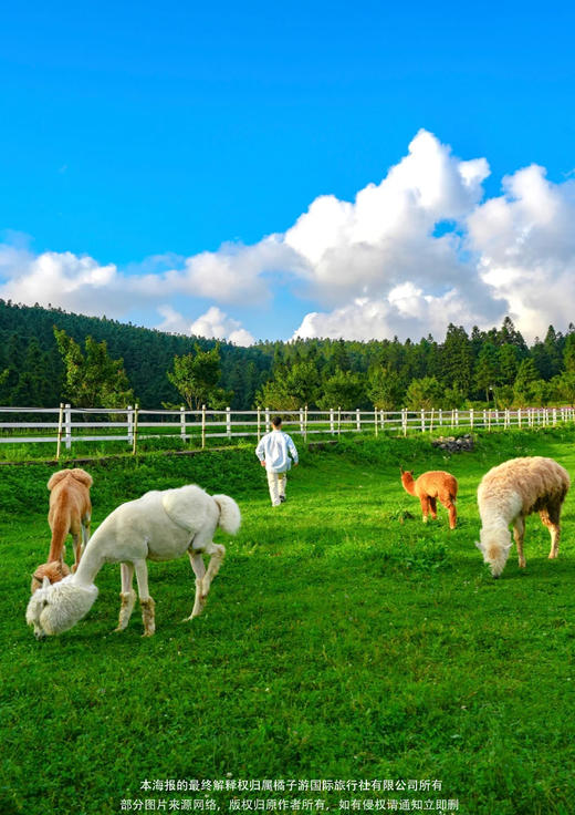 【毕业旅游季-重庆篇】重庆&武隆纯玩5天4晚 商品图1