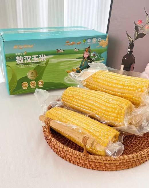 【蒙谷阳光甜糯敖汉玉米】源自内蒙古赤峰市敖汉旗，北纬42°黄金种植玉米带 商品图0