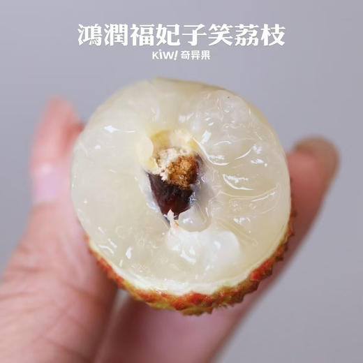 海南 妃子笑鲜荔枝 不泡水的干荔枝，孩子放心吃 商品图5