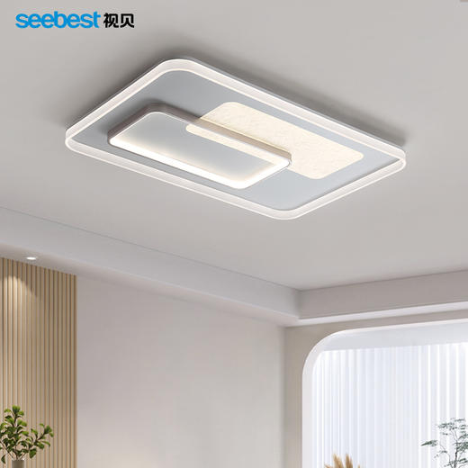 雅静长方-客厅灯 商品图1