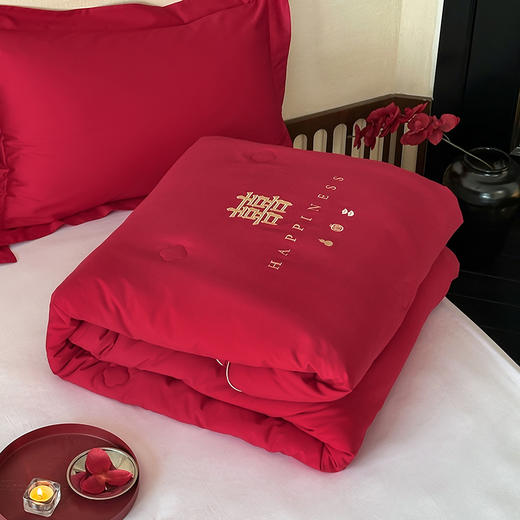 【换季出清】自然醒为爱添囍亲肤刺绣婚庆被新中式喜字结婚刺绣被芯红色春秋冬四季被芯双人床上用品TD 商品图11