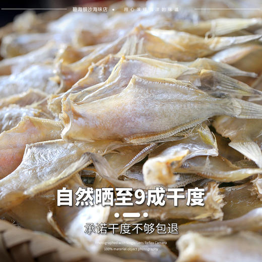 【北海特产❗当季马面鱼干】源自海捕现捞，渔民自家晾晒，淡晒不加盐无添加剂，营养美味又健康， 耗儿鱼扒皮鱼剥皮鱼咸鱼干，自晒淡干小鱼仔，马面鱼北海特产干货L 商品图1