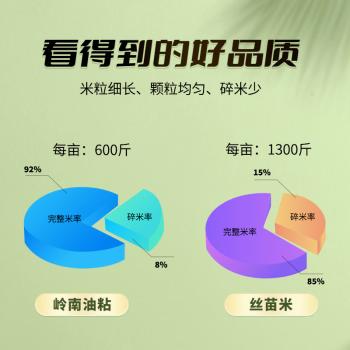 宋稻家 岭南油粘米5斤 南方大米籼米团购 丝苗米猫牙米 /粮油调味 /米 /油粘米 商品图5