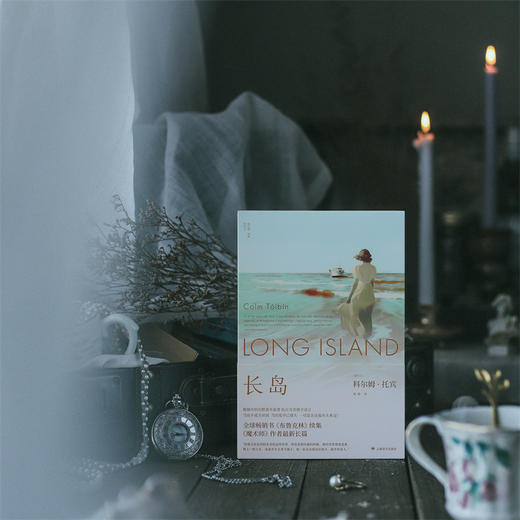 长岛 [爱尔兰]科尔姆·托宾 著 柏栎 译《布鲁克林》续集 《魔术师》作者长篇 中年危机【上海译文】 商品图7