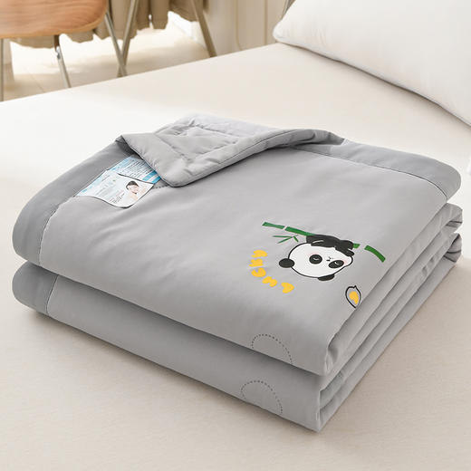 A类水洗棉夏被夏凉被空调被 商品图3