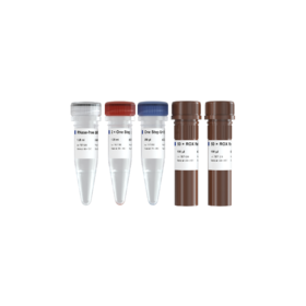 HiScript II U+ One Step qRT-PCR Probe Kit