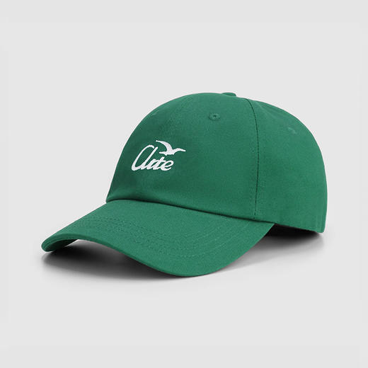 Arte BIRD LOGO CAP 棒球帽 鸭舌帽 商品图3