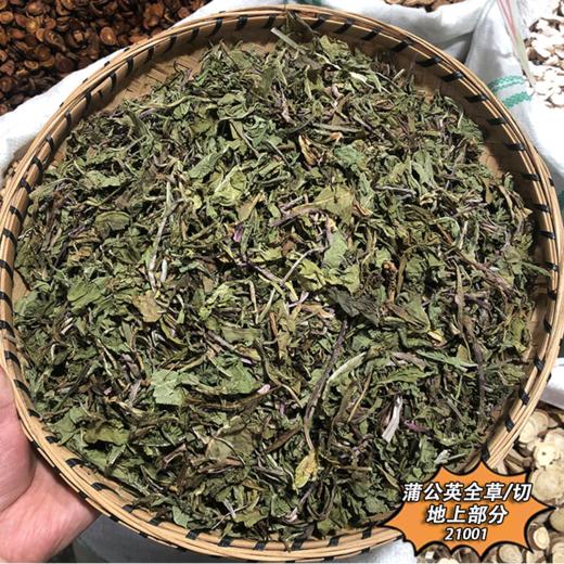 蒲公英 蒲公英草 蒲公英根  茶 商品图3