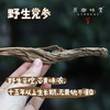 野生党参（成都仓库-顺丰快递） | 250g/袋，来自甘肃岷县，生产者：周尚书【合作生产，公平贸易】 商品缩略图0