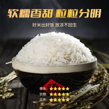 宋稻家 岭南油粘米5斤 南方大米籼米团购 丝苗米猫牙米 /粮油调味 /米 /油粘米 商品图2