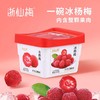 【BF】浙仙梅冰杨梅（含整颗杨梅）386ml/瓶  商品缩略图0