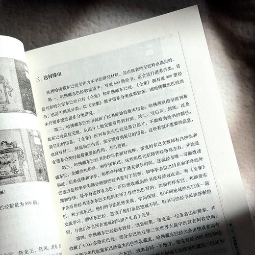 哈佛燕京学社藏纳西东巴经谱系分类方法研究 张春凤 商品图8