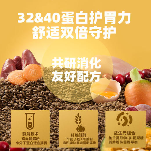 冒险与它P系列 主粮 猫粮500g\1.5kg 鸡肉配方 高蛋白 源头自有工厂 不吃包退 商品图4