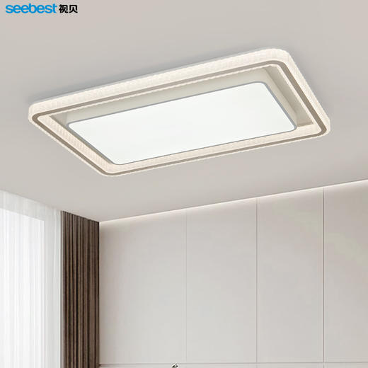 洛羽系列-客厅灯 商品图1