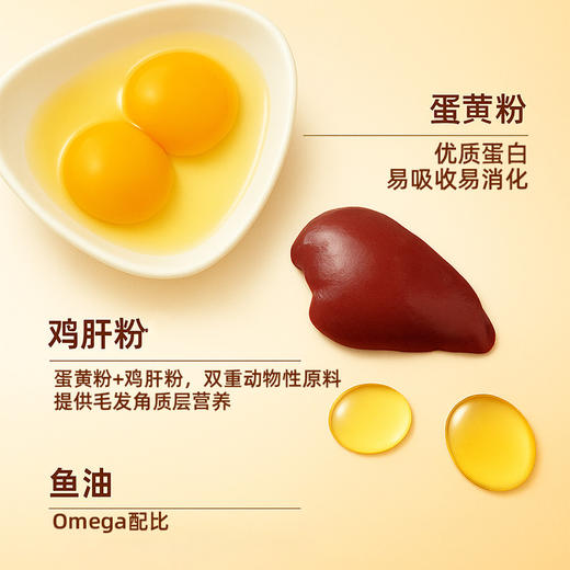 冒险与它P系列 主粮 猫粮500g\1.5kg 鸡肉配方 高蛋白 源头自有工厂 不吃包退 商品图3