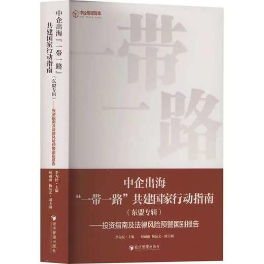 中企出海“一带一路”共建国家行动指南 商品图0